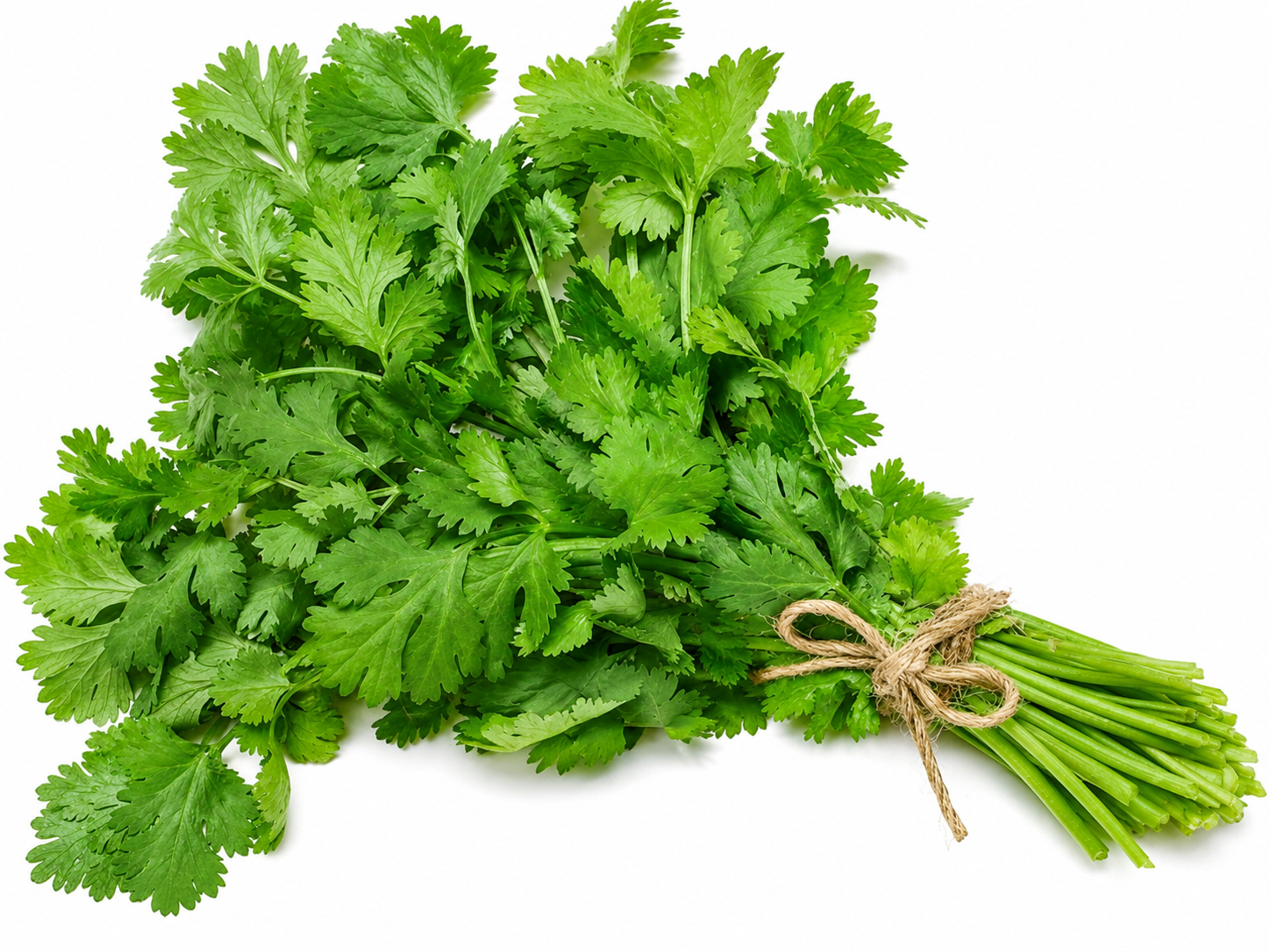 Coriander Bunch (Dhaniya) 100g.