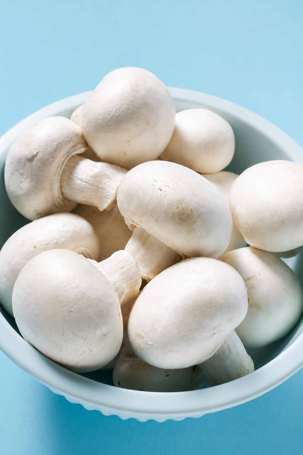 Mushroom 200 g